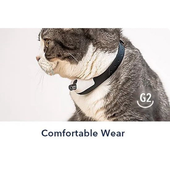 Cheerble KiTiDOT Laser Collar Cat Toy
