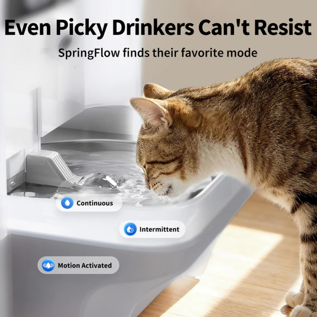 PETKIT Eversweet Ultra with Camera Smart Pet Water Fountain