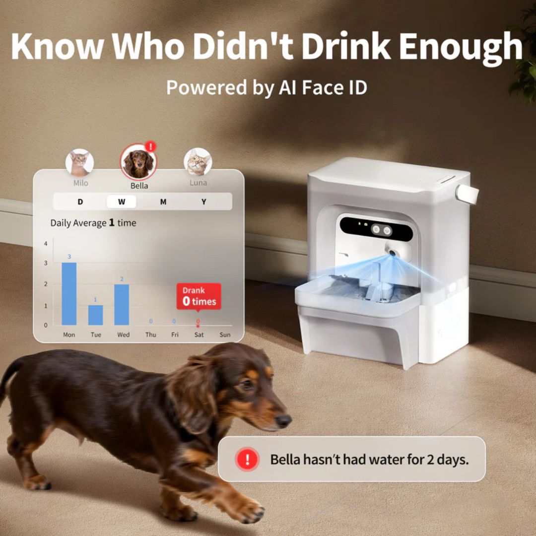 PETKIT Eversweet Ultra with Camera Smart Pet Water Fountain