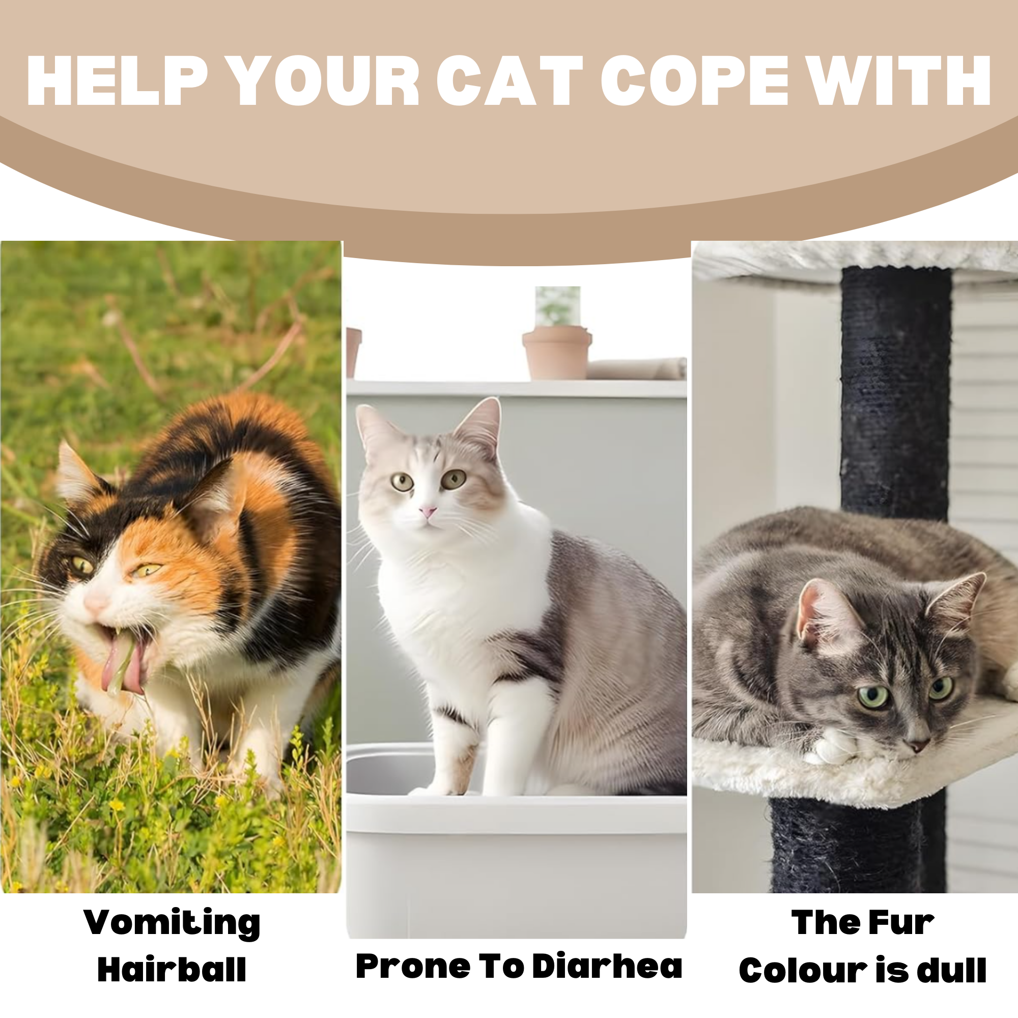 Freeze-dried Hairball Relief Supplement