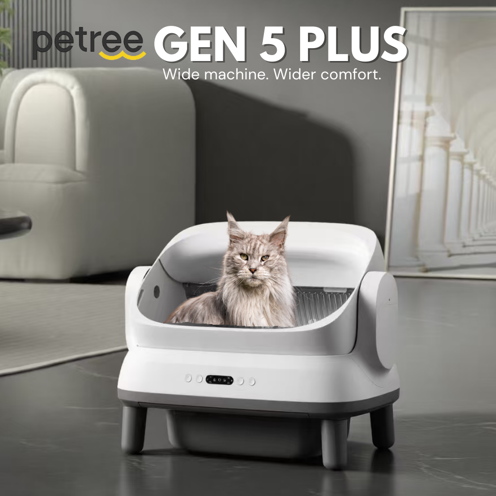 NEW Petree Gen 5 Plus Automatic Cat Litter Box with App
