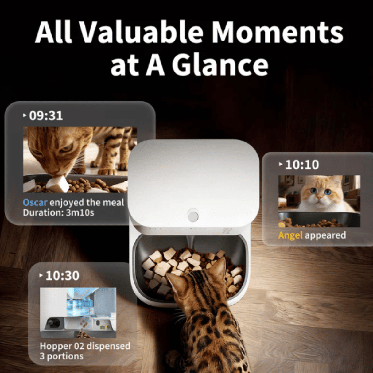 PETKIT Yumshare Dual Hopper Auto Smart Pet Feeder