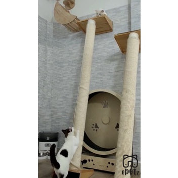 Super Large 150-180cm Height Natural Pine Wood Cat Tree with Cat Hammock Cat Scratching Post