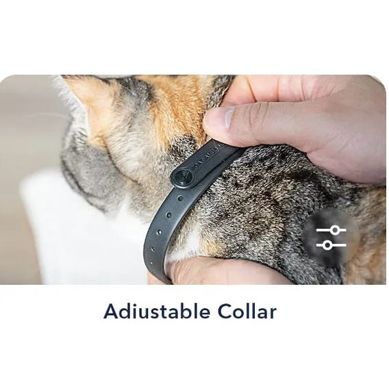 Cheerble KiTiDOT Laser Collar Cat Toy