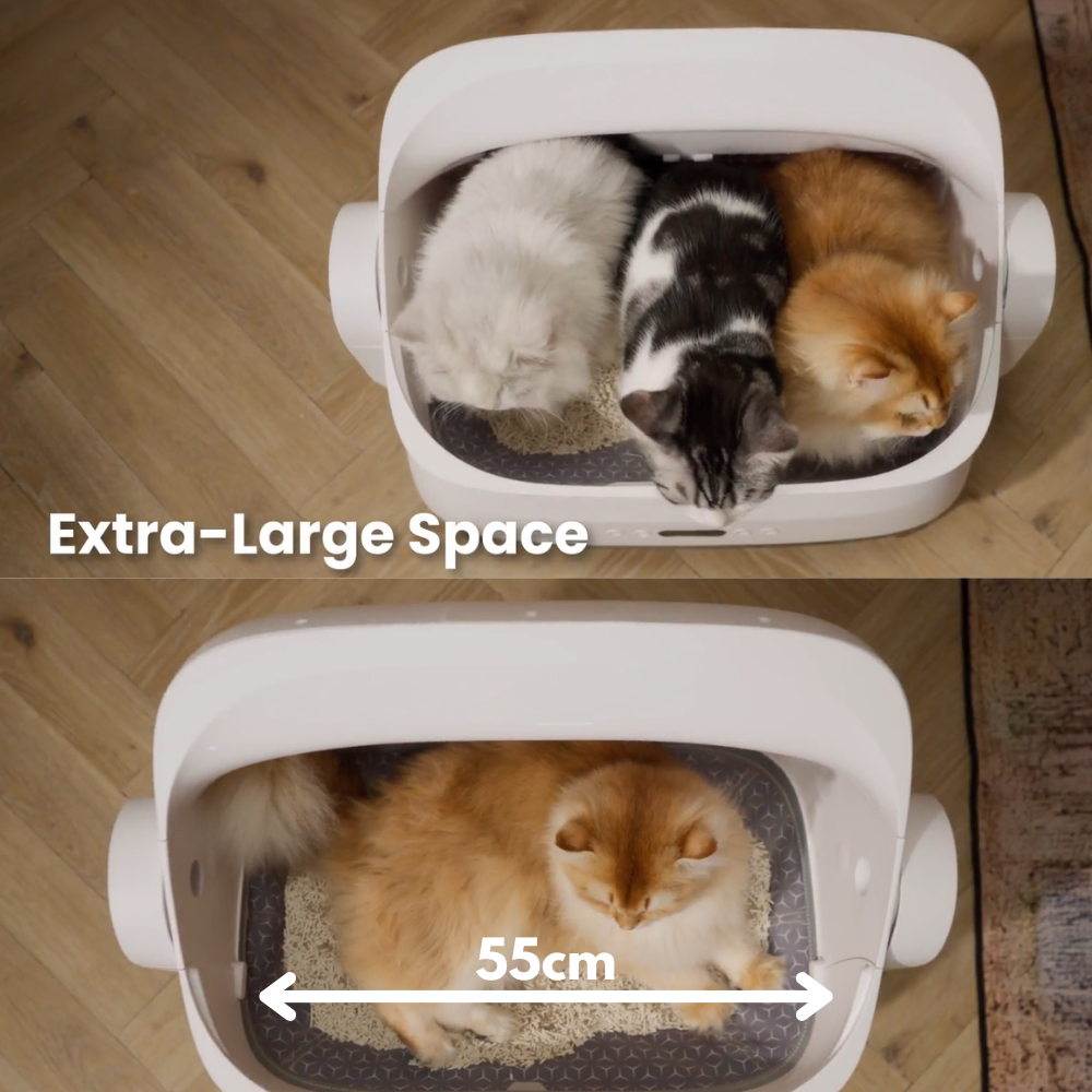 NEW Petree Gen 5 Plus Automatic Cat Litter Box with App