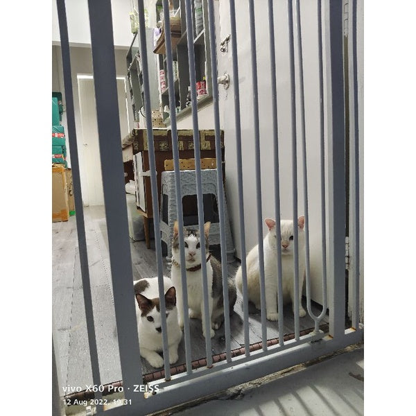 Pet Safety Gate Extra Tall 200cm