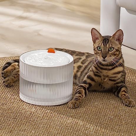 2L WIFI App Control Bekas Minuman Kucing Water Fountain Super Quiet Pet Cat Dog Water Dispenser