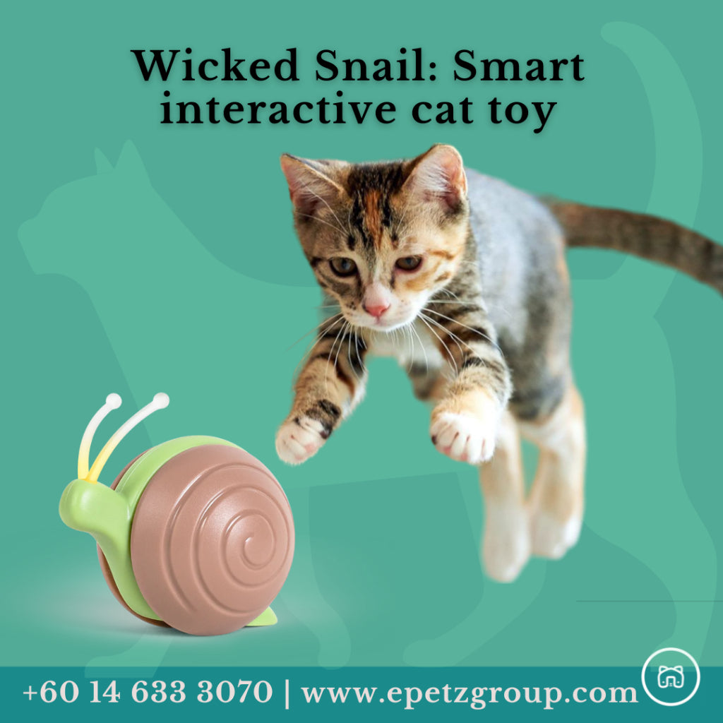 Cheerble Interactive Cat Toys Wicked Snail Cats