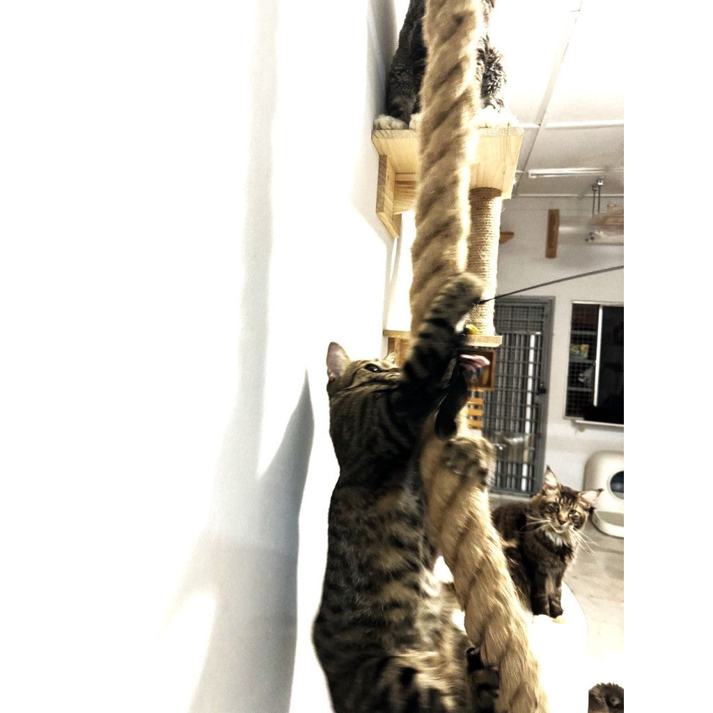 ePetz Premium Solid Wood Cat House Cat Tree Cat Climbing Rope Tiang Cakar Rumah Kucing