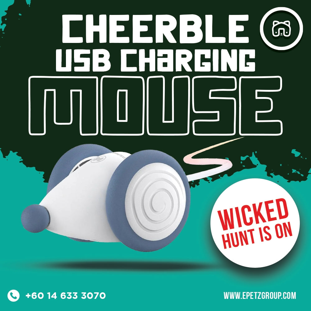 Cheerble USB Charging Mouse Tikus Mainan Kucing Automatik Automatic Cat Toy Interactive Mouse, Rechargeable