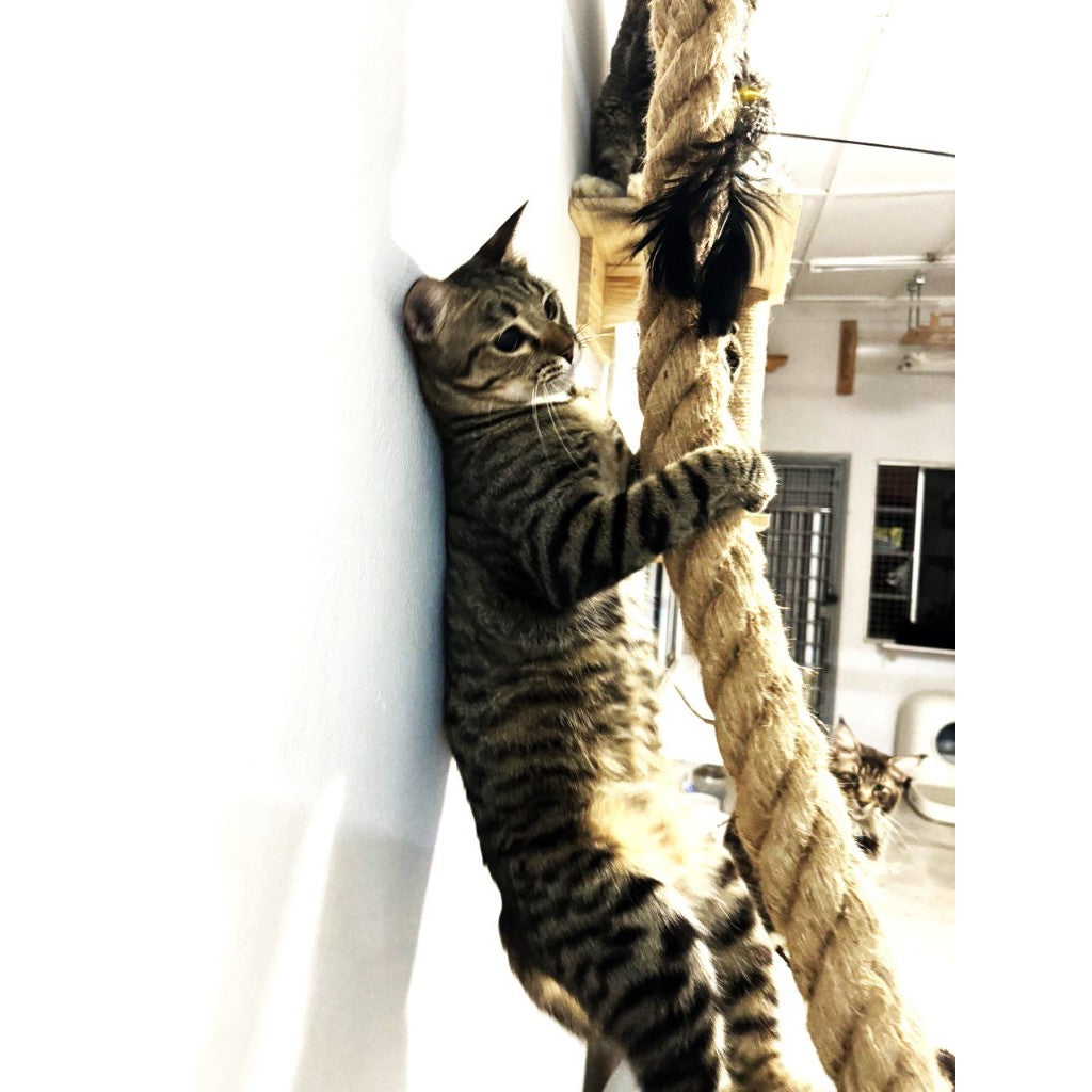 ePetz Premium Solid Wood Cat House Cat Tree Cat Climbing Rope Tiang Cakar Rumah Kucing