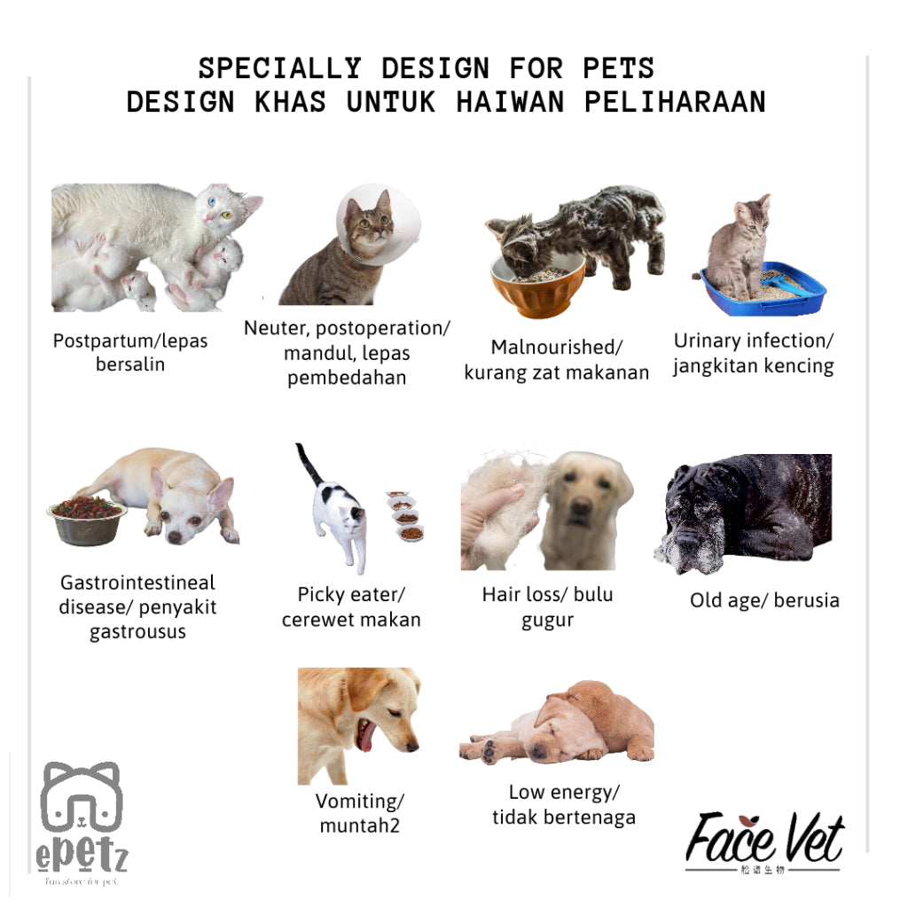 FaceVet Complete Prescription Canned Food Cats and Dogs FaceVet Preskripsi Makanan dalam Tin untuk Kucing dan Anjing