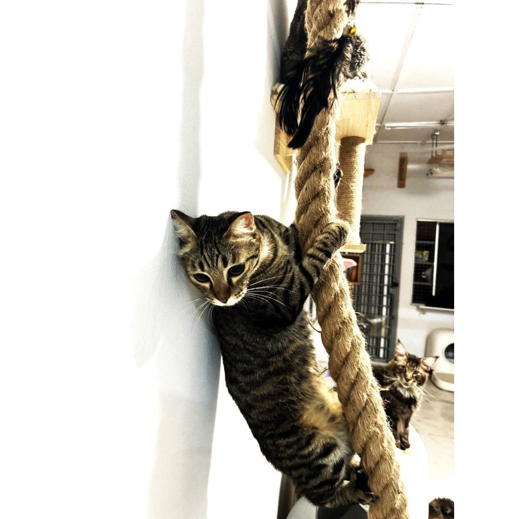 ePetz Premium Solid Wood Cat House Cat Tree Cat Climbing Rope Tiang Cakar Rumah Kucing