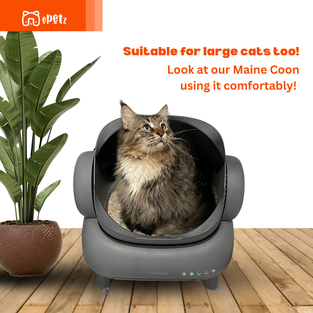Neakasa M1+ Smart Cat Litter Box