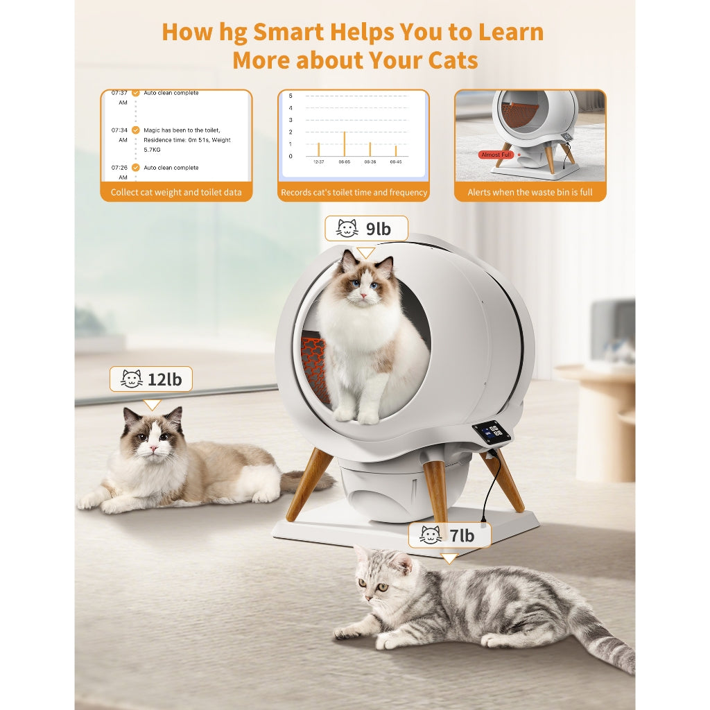 HoneyGuardian Automatic Cat Litter