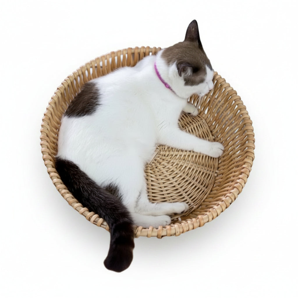 ePetz Rattan Cat Basket | Pet Furniture Bed