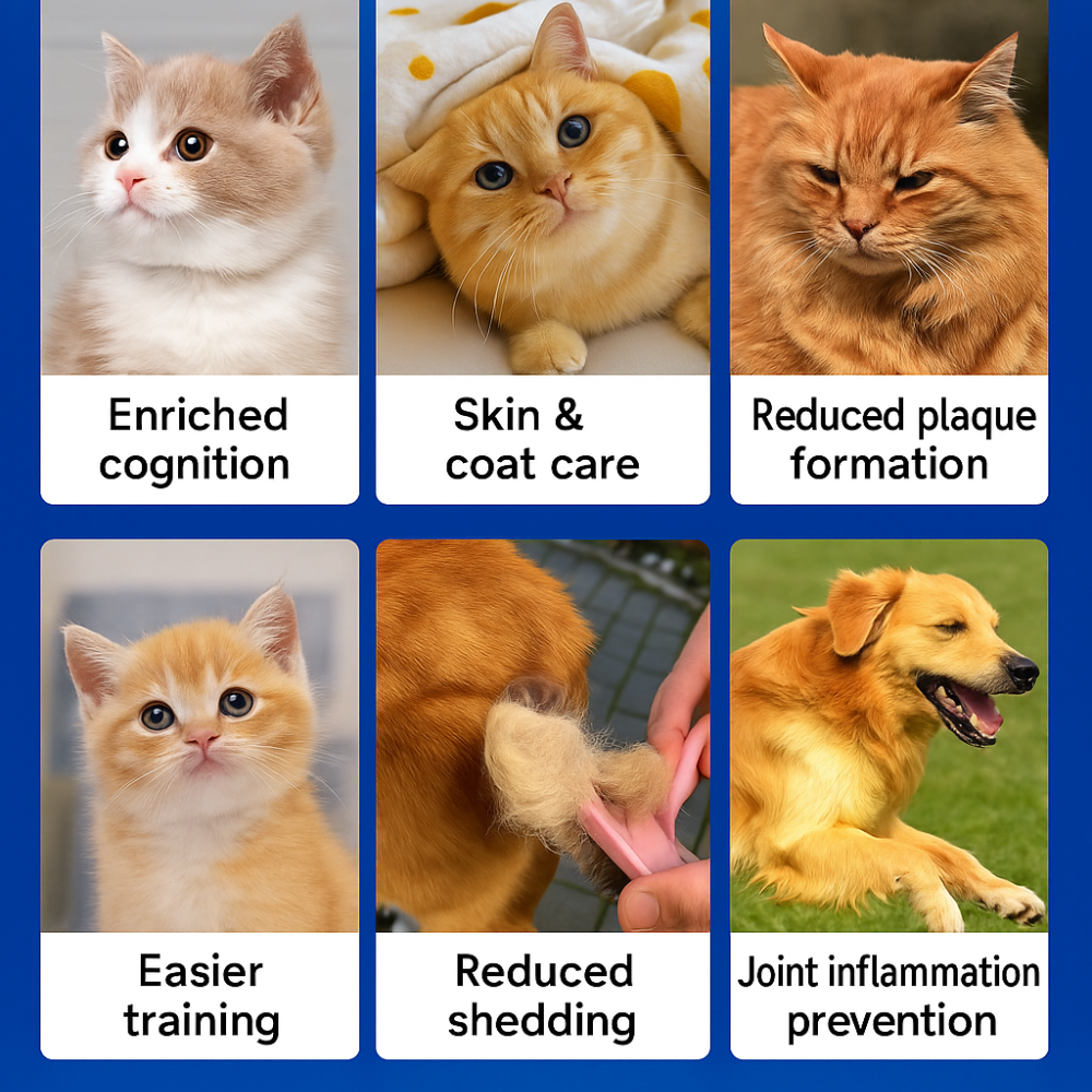 ePetz Fish Oil Supplement for Cat & Dog