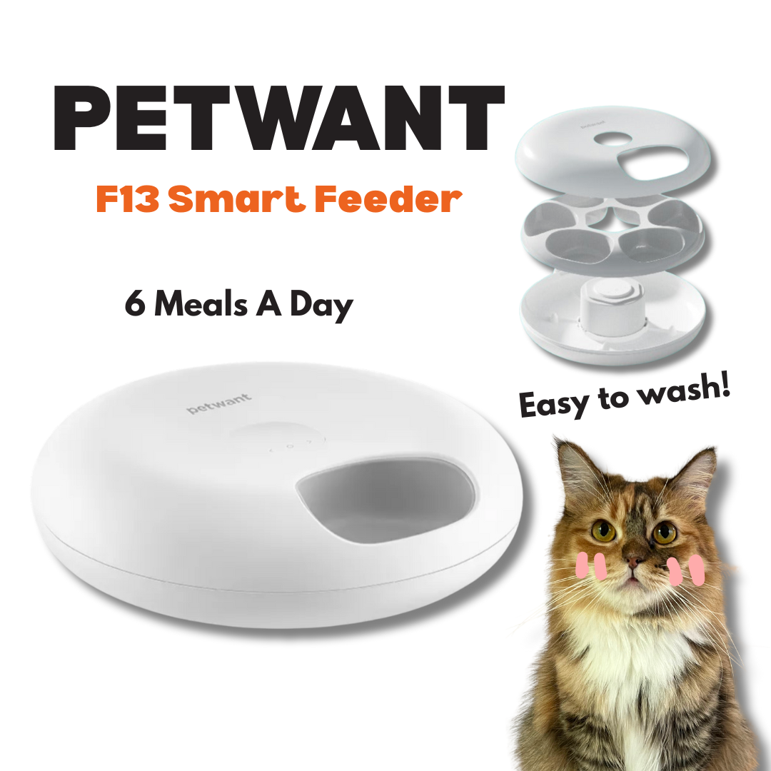 Petwant F13 Smart Feeder